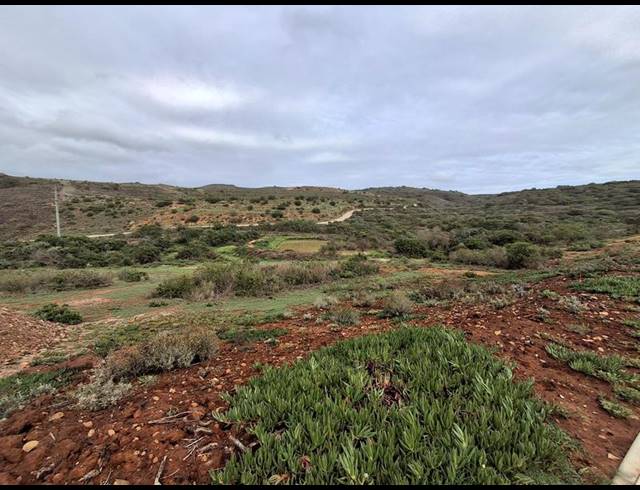 LAND FOR SALE IN OUTENIQUASBOSCH